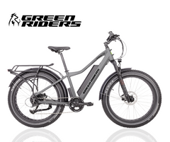 Vélo électrique E-Force 750 - GRIS